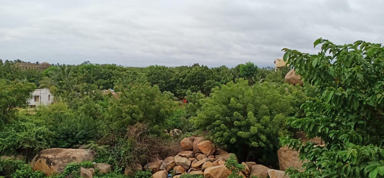 Gopi Homestay Hampi Bagian luar foto